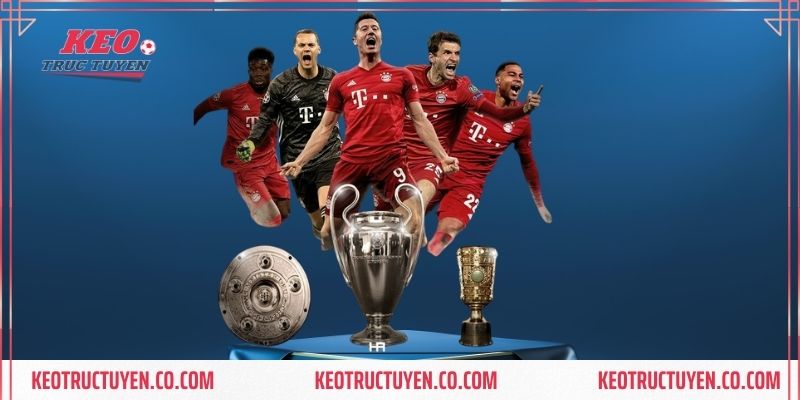 Khám phá ý nghĩa về biệt danh hùm xám