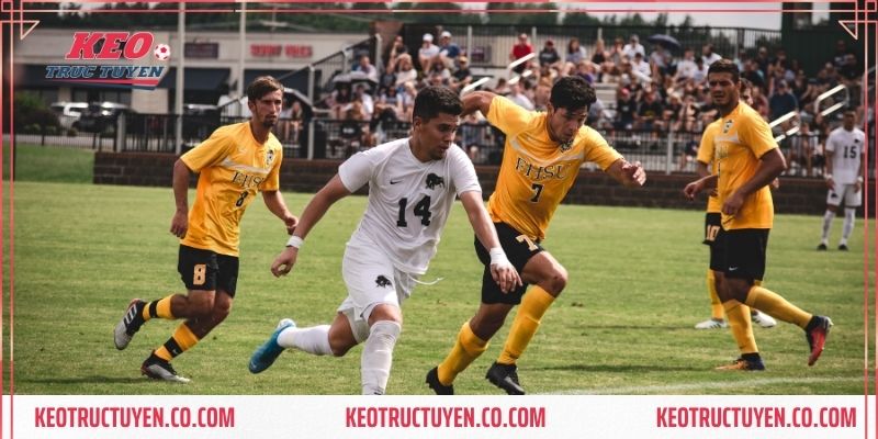 Kinh nghiệm xem kèo nhà cái nhà cái Bet168