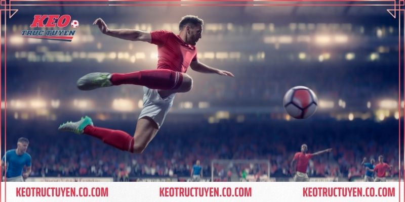 Hướng Dẫn Tân Thủ Cách Bet168 xem kèo Chuẩn Nhất