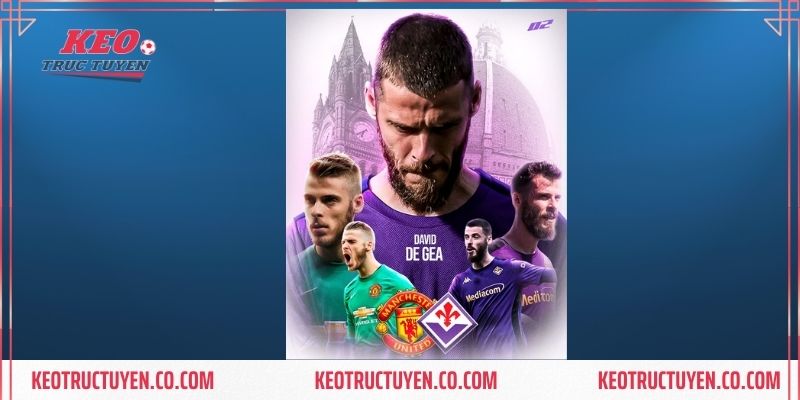 Thành tích ở màu áo quốc gia