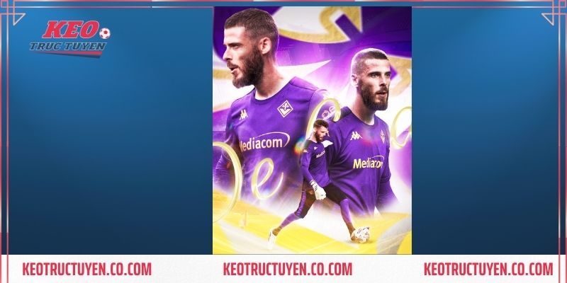 Thành tích trong màu áo CLB