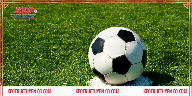 Kèo 0 0.5 là gì? Kinh nghiệm chơi kèo 0 0.5 cực chất