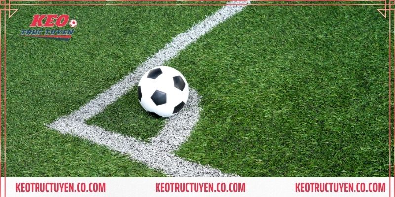 Nắm được cách đọc kèo trước khi tham gia