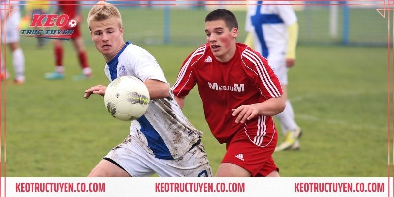 Chi tiết tính năng ấn tượng hội viên được trải nghiệm khi tham gia tại đây