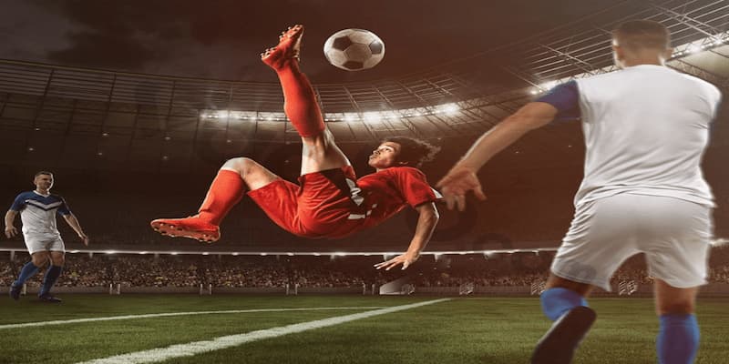 Cách đọc kèo Châu Á cực kỳ phổ biến