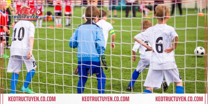 Mẹo chơi cá độ được tổng hợp từ các chuyên gia