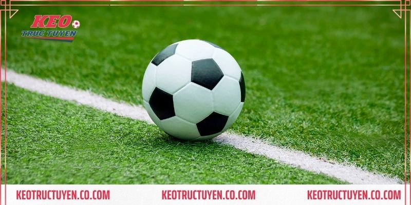 Gia tăng khả năng chiến thắng nhờ vào nắm kỹ thông tin kèo cược