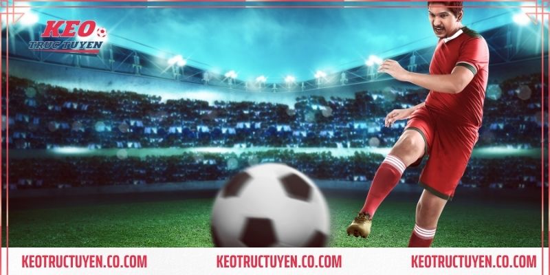 Kèo tài xỉu 2.75 là gì với cách đọc cụ thể nhất cho bạn chơi