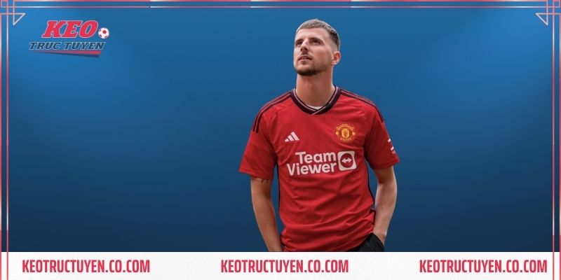 Kỹ năng chuyên môn hoàn thiện