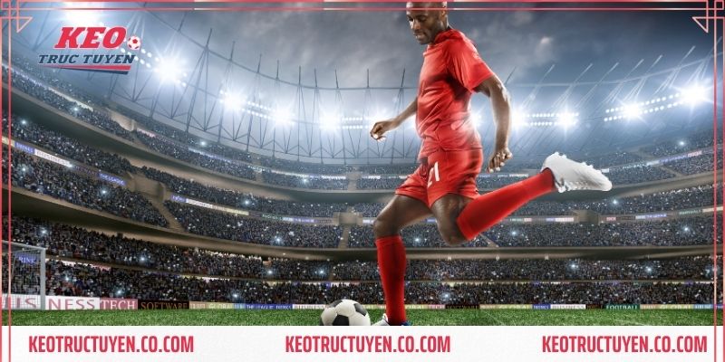 Nhà cái uy tín cá cược online FUN88