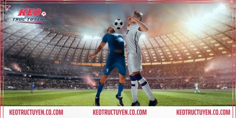 MU88 – nhà cái uy tín hàng đầu thị trường