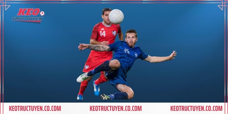 Cách đọc 1 số kèo 1/4 bóng đá đơn giản