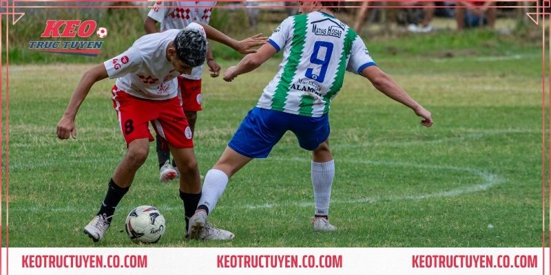 Thực hiện đặt cược theo chiến lược đã định