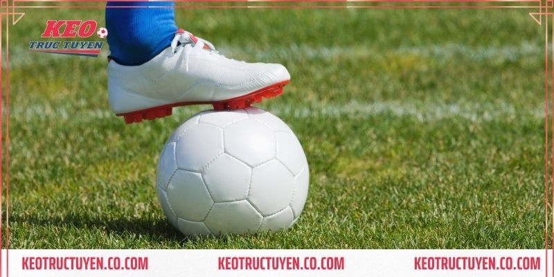 Chuyên gia chia sẻ kinh nghiệm phân tích tỷ lệ kèo