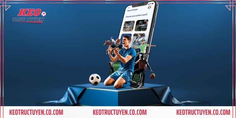 Giao diện web dễ dàng sử dụng